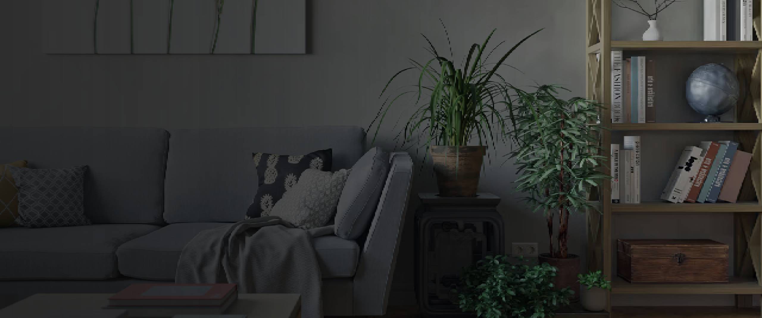 Renovated HDB BTO living room with bookshelf and greenery by Thomson Renovation Contractor