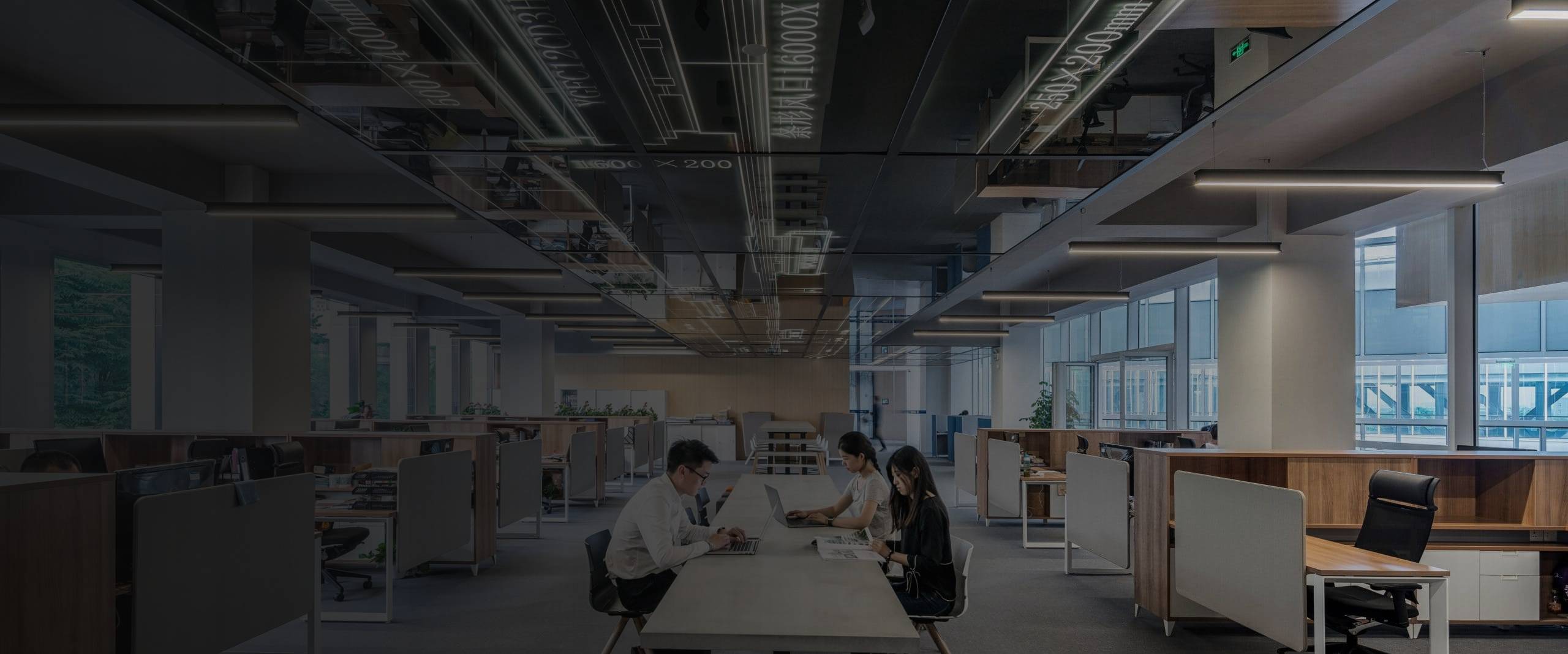 Commercial office fit-out with open-plan workstations by Thomson Renovation Contractor